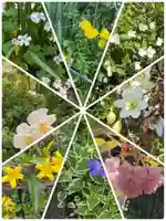 岡部春日神社~👹鬼門よけの🌺花咲く🌺やしろ~(福島県)