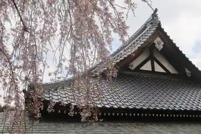 阿弥陀寺の本殿・本堂