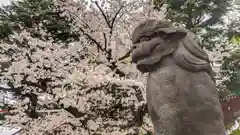 浅草寺の狛犬