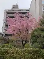 源空寺(東京都)