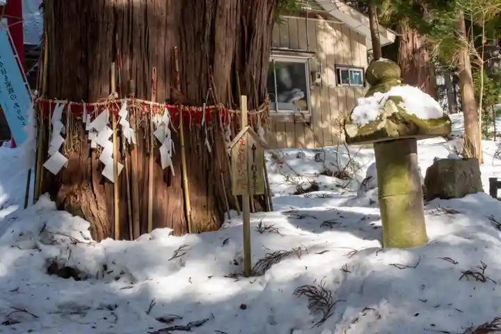 磐椅神社の自然