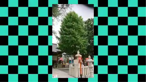 草加神社(埼玉県)