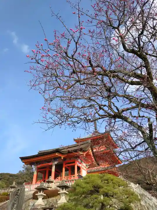 清水寺(京都府)