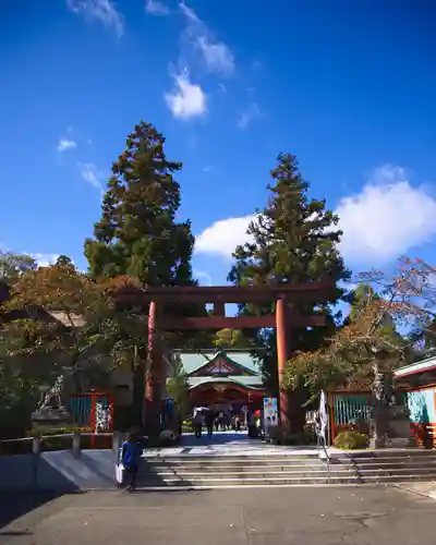 宮城縣護國神社の鳥居