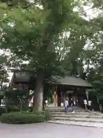 阿佐ヶ谷神明宮の山門・神門
