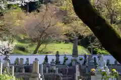 岡寺（龍蓋寺）のお墓