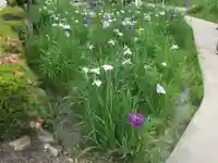 知立神社の自然