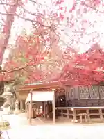 鹿島神宮の本殿・本堂