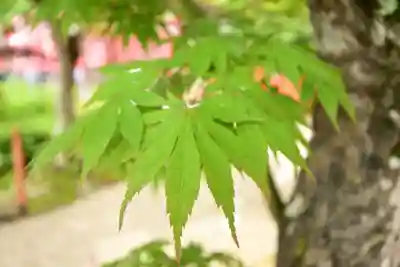 龍田大社(奈良県)