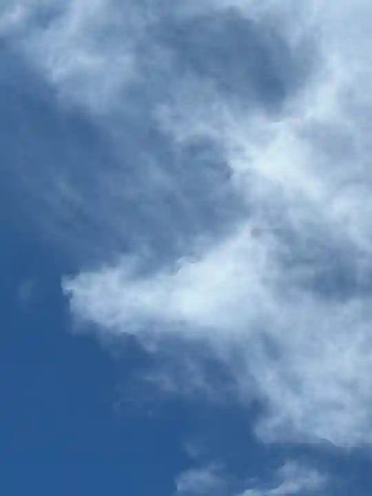 東京大神宮(東京都)