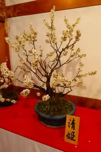 柳澤神社の芸術