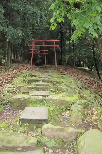 鹿児島神宮の鳥居