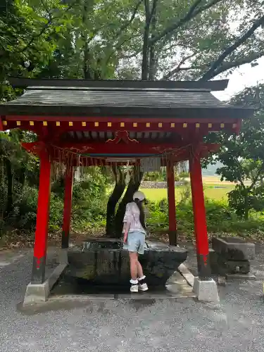 大己貴神社の{uncategorized: "未分類", other: "その他", undefined: "問題あり", building: "その他建物", grave: "お墓", sacred_gate: "鳥居", guardian: "狛犬", statue: "像", buddha: "仏像", history: "歴史", nature: "自然", garden: "庭園", animal: "動物", pagoda: "塔", temizu: "手水舎", mountain_gate: "山門・神門", sanctuary: "本殿・本堂", subordinate: "末社・摂社", art: "芸術", scenery: "景色", jizo: "地蔵", ema: "絵馬", goshuin: "御朱印", omikuji: "おみくじ", items: "授与品その他", amulet: "お守り", goshuincho: "御朱印帳", eats: "食事", festival: "お祭り", votive_dance: "神楽", shichigosan: "七五三参", wedding: "結婚式", experience: "体験その他", initially: "初詣", around: "周辺", anti_infection: "感染症対策"}