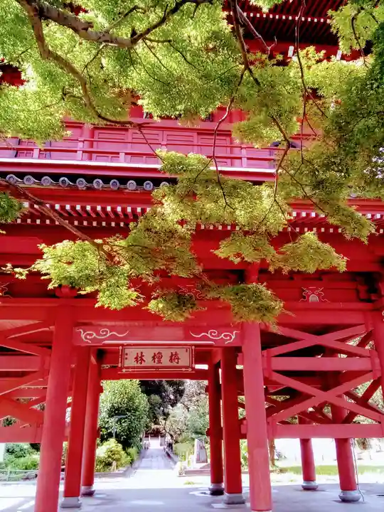 大巌寺の山門・神門