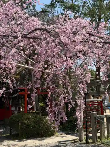 水火天満宮の{uncategorized: "未分類", other: "その他", undefined: "問題あり", building: "その他建物", grave: "お墓", sacred_gate: "鳥居", guardian: "狛犬", statue: "像", buddha: "仏像", history: "歴史", nature: "自然", garden: "庭園", animal: "動物", pagoda: "塔", temizu: "手水舎", mountain_gate: "山門・神門", sanctuary: "本殿・本堂", subordinate: "末社・摂社", art: "芸術", scenery: "景色", jizo: "地蔵", ema: "絵馬", goshuin: "御朱印", omikuji: "おみくじ", items: "授与品その他", amulet: "お守り", goshuincho: "御朱印帳", eats: "食事", festival: "お祭り", votive_dance: "神楽", shichigosan: "七五三参", wedding: "結婚式", experience: "体験その他", initially: "初詣", around: "周辺", anti_infection: "感染症対策"}