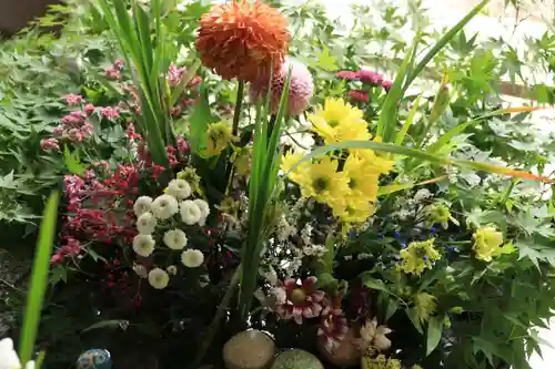 滑川神社 - 仕事と子どもの守り神の手水