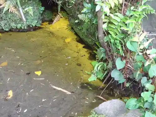 白笹稲荷神社の自然