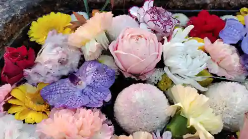 野見神社の手水舎