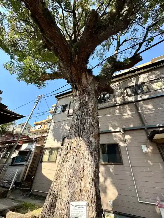 子神社(神奈川県)
