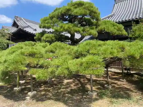 法然寺(香川県)