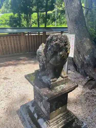 國津神社の狛犬