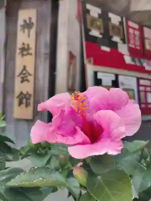 金井神社の自然