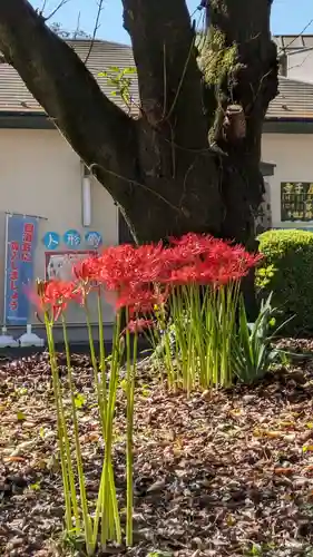 八幡社の庭園