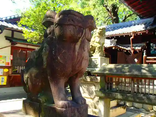 本土神社の狛犬