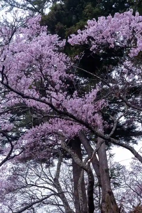 新城藤原神社(長野県)