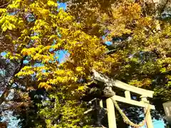 白鳥神社の鳥居