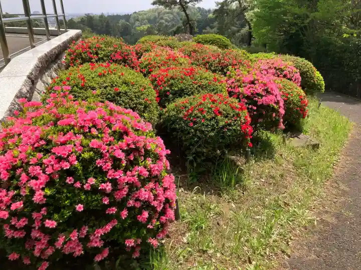塩船観音寺の{uncategorized: "未分類", other: "その他", undefined: "問題あり", building: "その他建物", grave: "お墓", sacred_gate: "鳥居", guardian: "狛犬", statue: "像", buddha: "仏像", history: "歴史", nature: "自然", garden: "庭園", animal: "動物", pagoda: "塔", temizu: "手水舎", mountain_gate: "山門・神門", sanctuary: "本殿・本堂", subordinate: "末社・摂社", art: "芸術", scenery: "景色", jizo: "地蔵", ema: "絵馬", goshuin: "御朱印", omikuji: "おみくじ", items: "授与品その他", amulet: "お守り", goshuincho: "御朱印帳", eats: "食事", festival: "お祭り", votive_dance: "神楽", shichigosan: "七五三参", wedding: "結婚式", experience: "体験その他", initially: "初詣", around: "周辺", anti_infection: "感染症対策"}