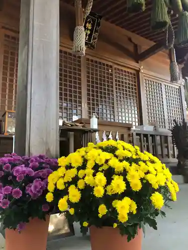 糀谷八幡宮の本殿・本堂