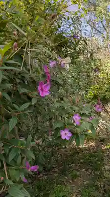 水堂須佐男神社(兵庫県)