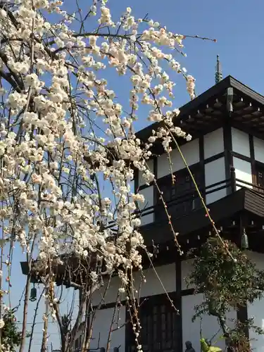 岩槻大師彌勒密寺の自然