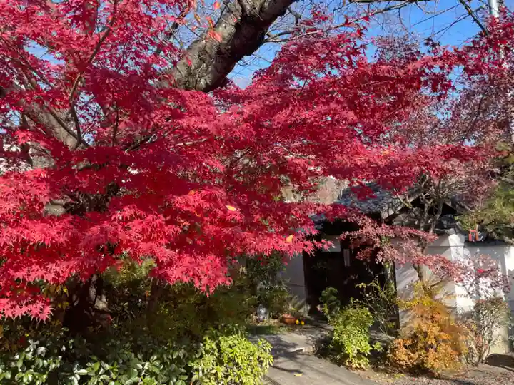 円常院(圓常院) enjoyntemple(京都府)