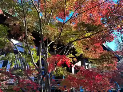 淨眞寺(東京都)