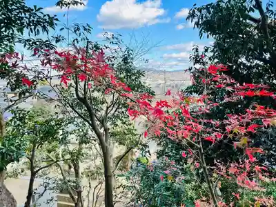 勝岡八幡神社の自然