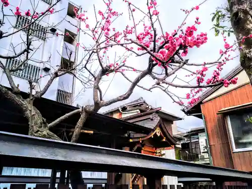 北野神社の自然