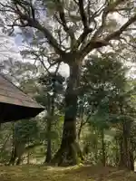 五明神社の自然