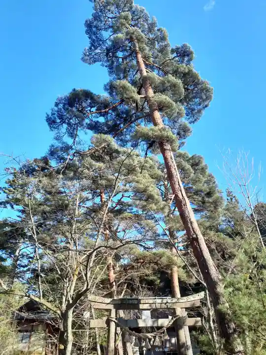 月山神社里宮(岩手県)