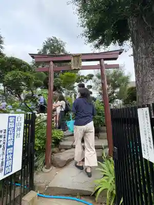 白山神社(東京都)