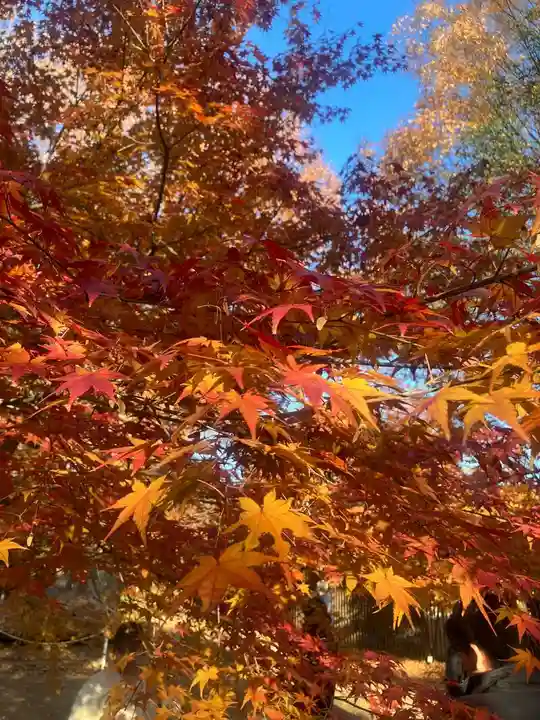 北野天満宮(京都府)