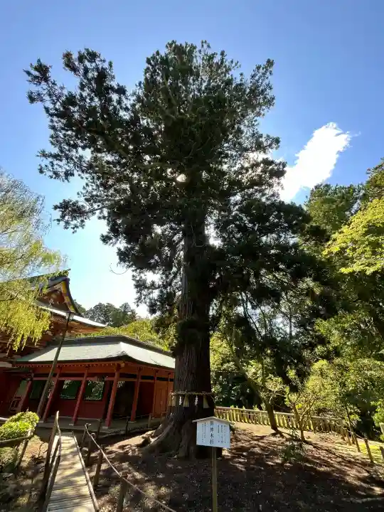 志波彦神社・鹽竈神社(宮城県)