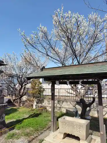 熊野神社 (大町)(栃木県)