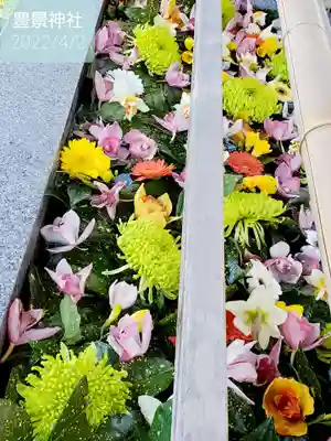 豊景神社の手水舎