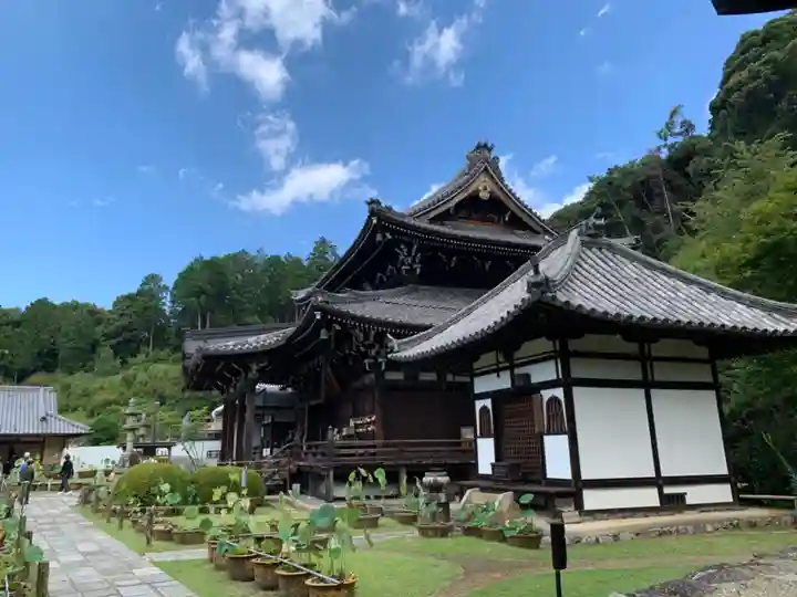 三室戸寺の本殿・本堂