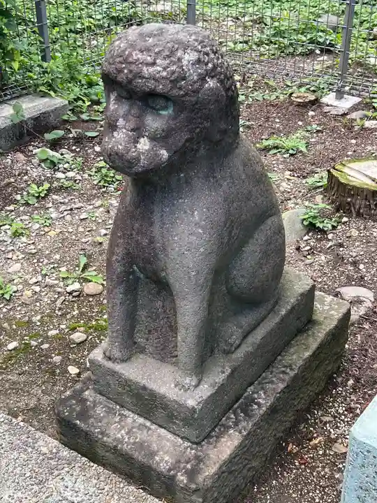 櫻岡大神宮の狛犬