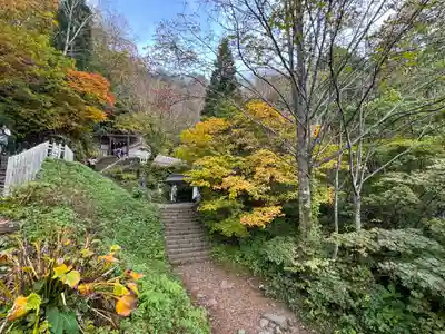 戸隠神社奥社(長野県)