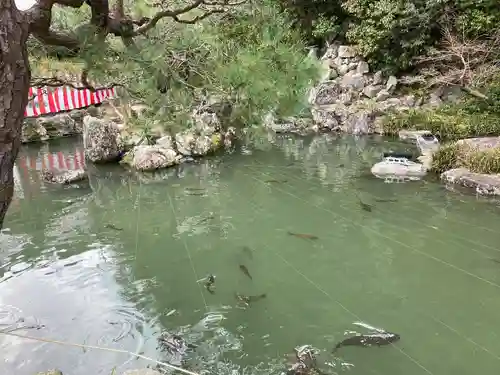 清荒神清澄寺(兵庫県)