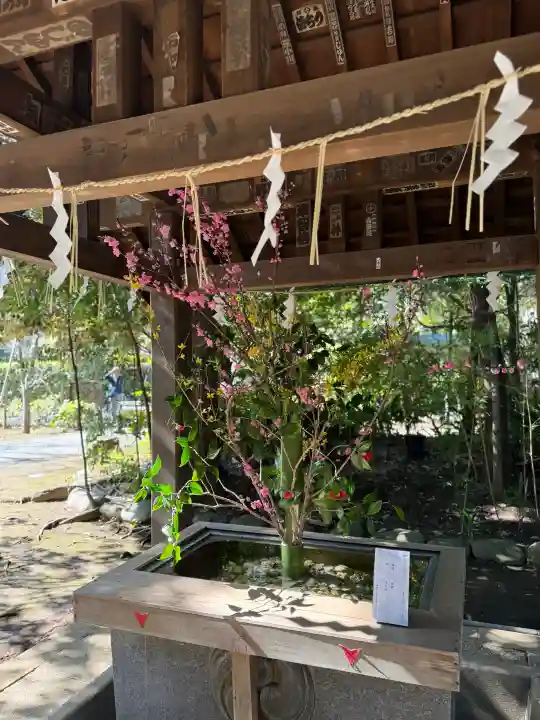 赤坂氷川神社の{uncategorized: "未分類", other: "その他", undefined: "問題あり", building: "その他建物", grave: "お墓", sacred_gate: "鳥居", guardian: "狛犬", statue: "像", buddha: "仏像", history: "歴史", nature: "自然", garden: "庭園", animal: "動物", pagoda: "塔", temizu: "手水舎", mountain_gate: "山門・神門", sanctuary: "本殿・本堂", subordinate: "末社・摂社", art: "芸術", scenery: "景色", jizo: "地蔵", ema: "絵馬", goshuin: "御朱印", omikuji: "おみくじ", items: "授与品その他", amulet: "お守り", goshuincho: "御朱印帳", eats: "食事", festival: "お祭り", votive_dance: "神楽", shichigosan: "七五三参", wedding: "結婚式", experience: "体験その他", initially: "初詣", around: "周辺", anti_infection: "感染症対策"}
